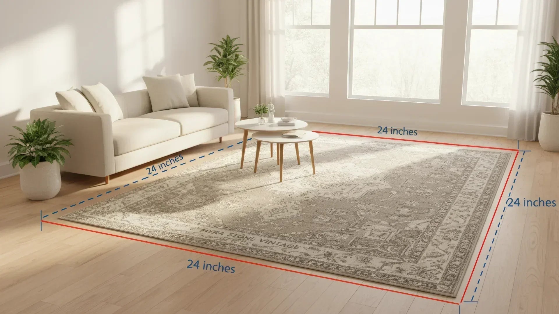 A large rectangular area rug shown in a bright living room with a sofa, coffee table, plants, and large windows. Red and blue dimension lines with the text '24 inches' indicate the rug's measurements.