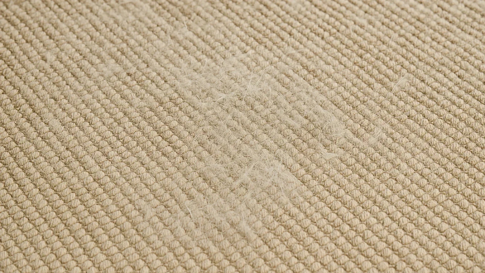 Rug Maintenance for Homes with Pets: Odors, Fur & Accidents