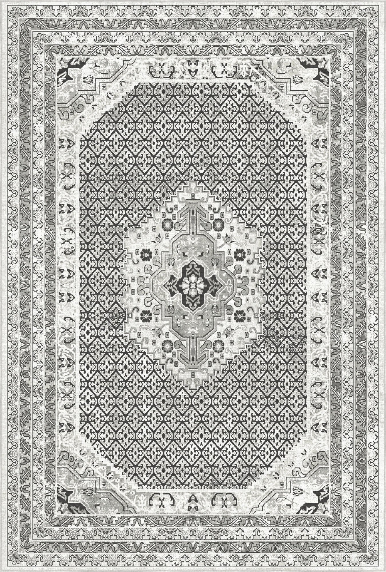 Decorative rug with intricate patterns and a border on a white background