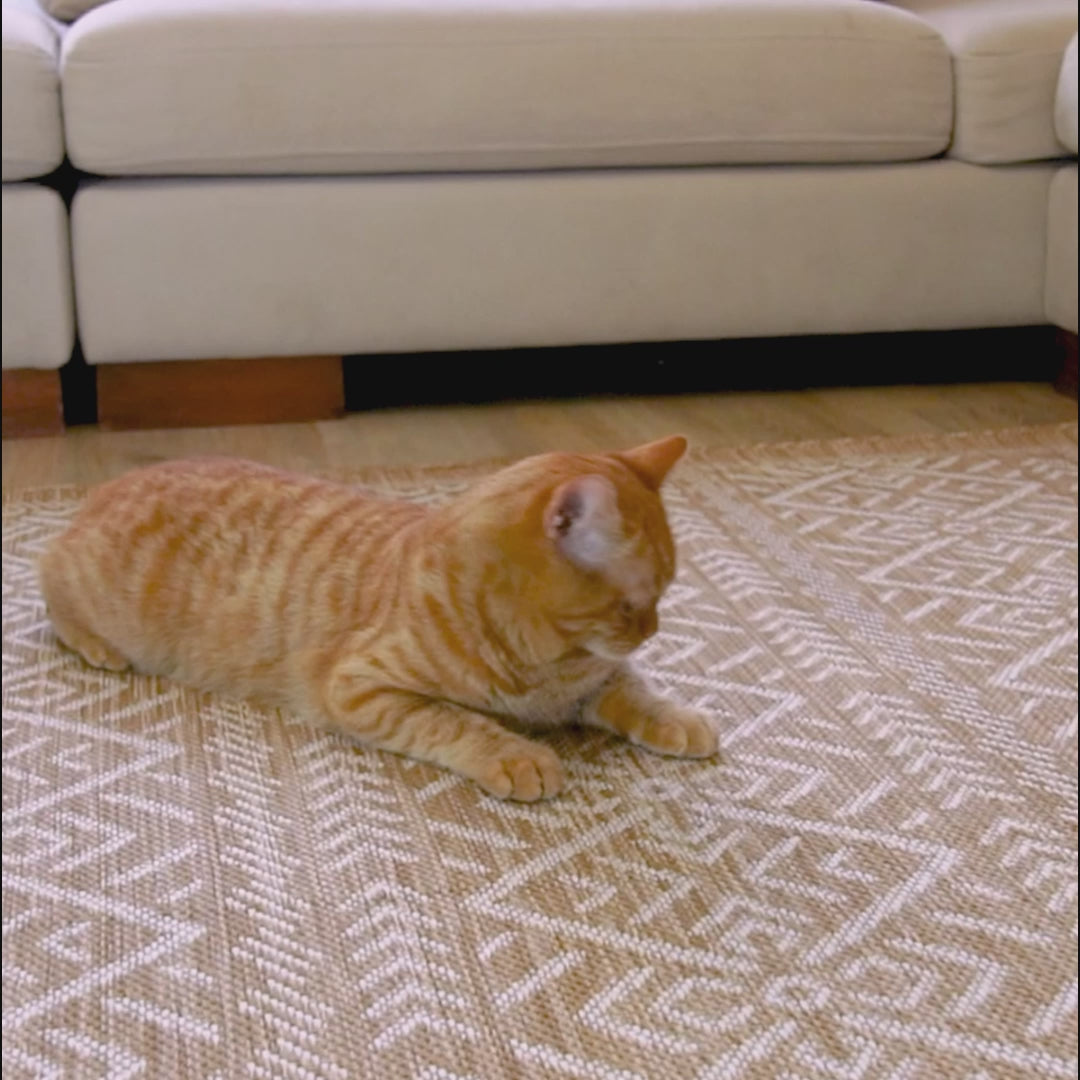 Килим Захід Натуральний сизаль бежевий