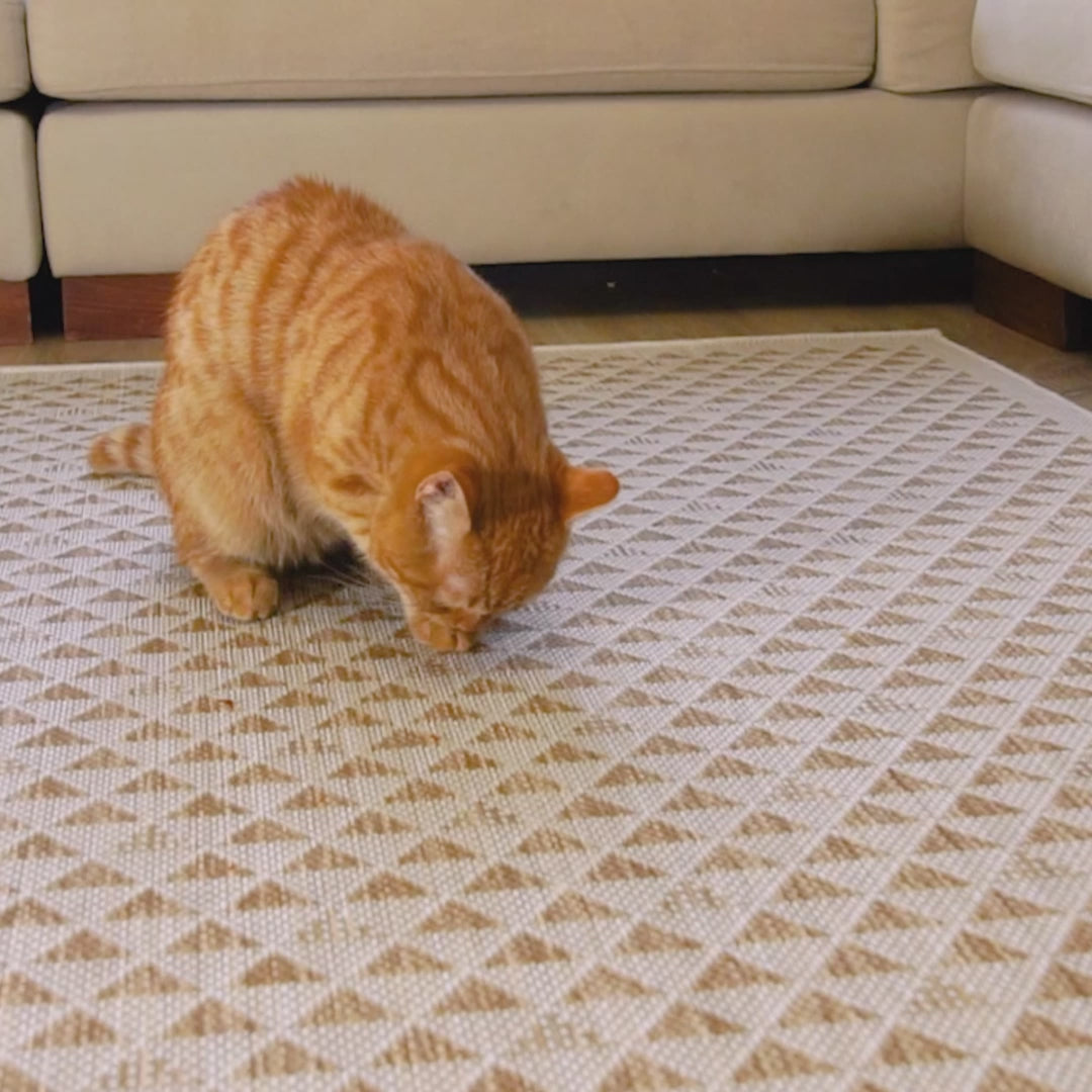 Сизалевий килим з трикутним візерунком бежевий